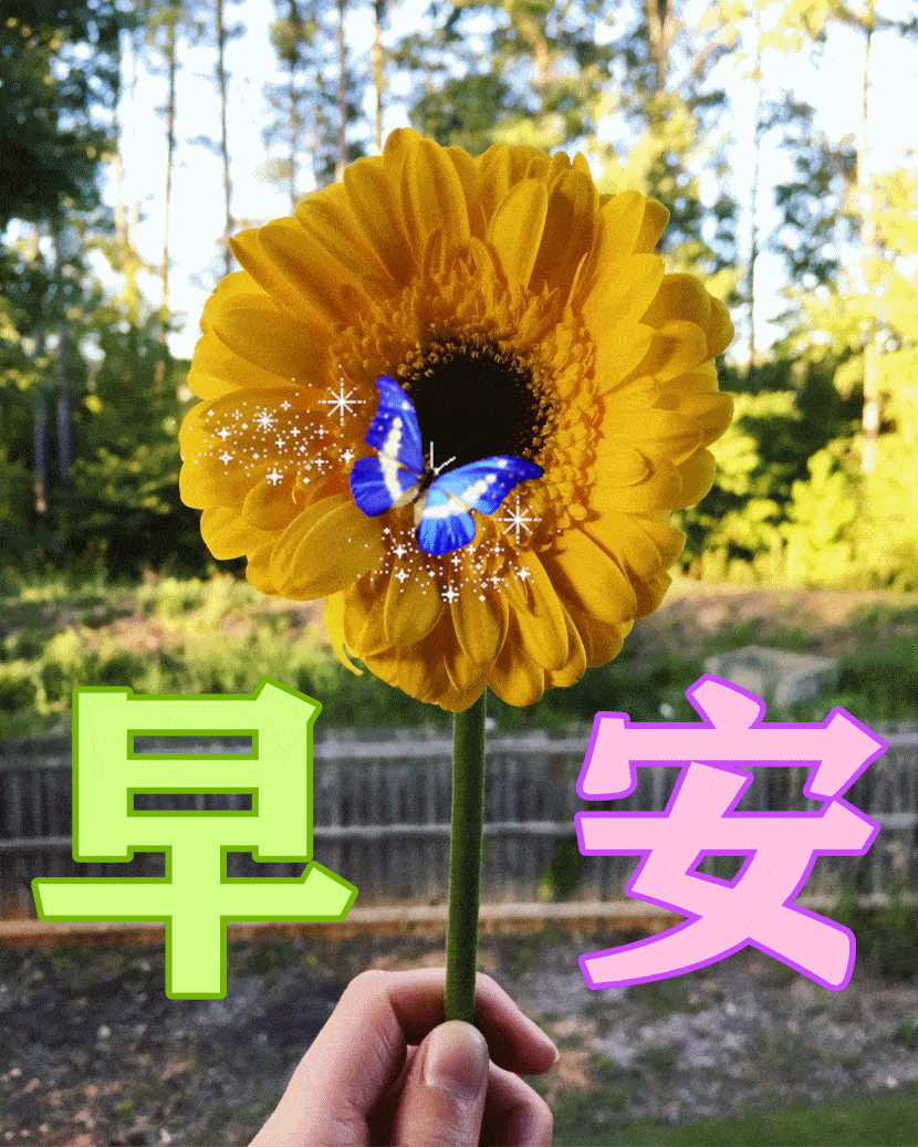 原创一声问候,送来温馨甜蜜;一条信息,捎去我万般心意.早安