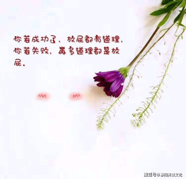 想发朋友圈的早安心语,阳光正能量,让人奋发向上