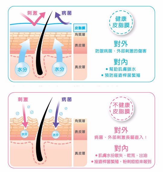 角质层,也叫皮脂膜,损伤带来的皮肤问题要比你担心的渗透更直观.