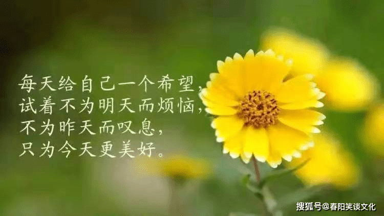 2021最新晚安励志说说,太精辟了,让人耳目一新