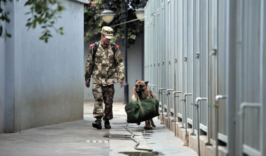 煽人泪下的离别瞬间 10张军人与忠犬的分别照_军犬