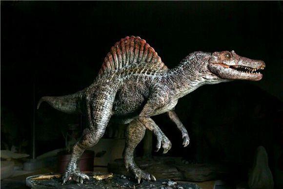 其中的亚种埃及棘龙是目前已知最大的食肉恐龙,体长12到20米,臀高270