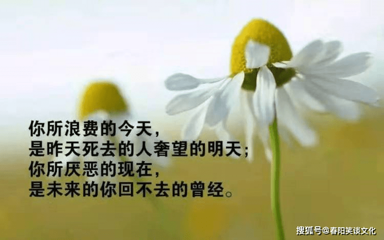早上适合发朋友圈的心情说说,阳光正能量,让人充满斗志