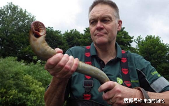 原创史前生物被中国人吃到