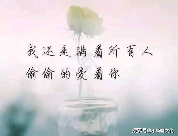 深夜里一个人独自心伤的说说,句句戳心,让人心疼