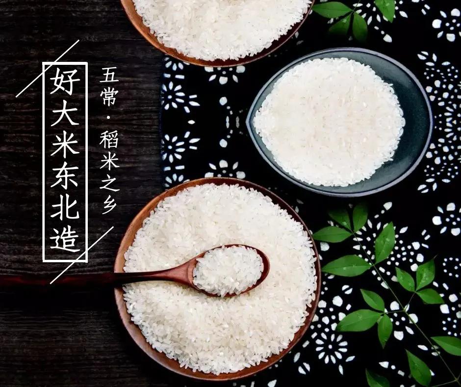 为何东北地区可以种出五常大米,稻花香等优质稻米?