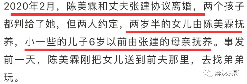 2020年2月,陈美霖和丈夫张波(原名叫张波,新闻采用了化名张建)离婚了