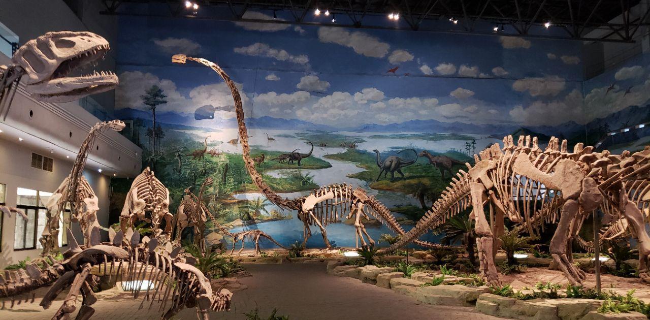 自贡恐龙博物馆的镇馆之宝是"和平永川龙",它的龙爪曾经骨折过