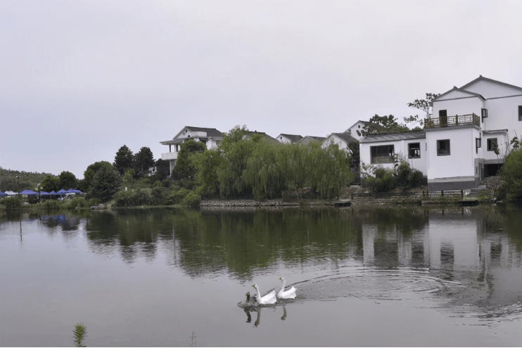 南京人常来的古村落,用三万亩林海造景,人称江苏小九寨!