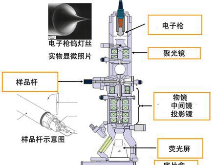 用放大多少倍的显微镜才能看到亚原子粒子?