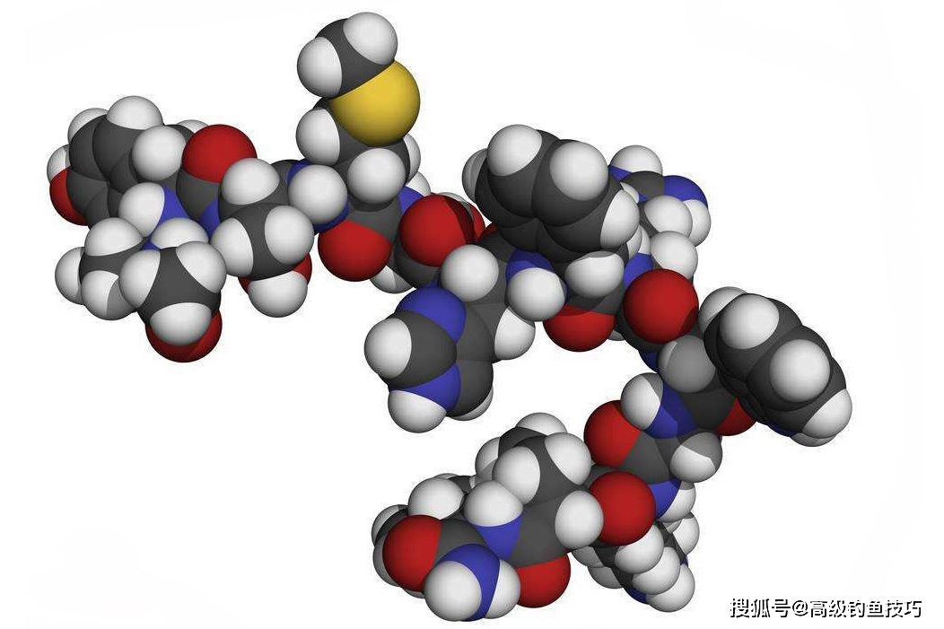 甾体激素(也称类固醇激素),这类激素的分子结构都以环戊烷多氢菲为