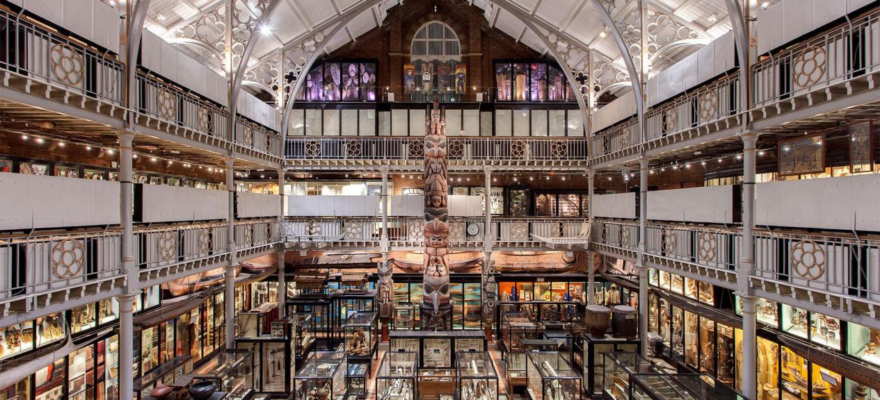 英国留学:博物馆爱好者的天堂!盘点英国校园内的宝藏博物馆