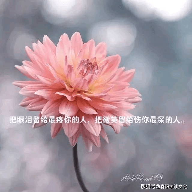 2021最触动人心的一句说说,直击心底,发朋友圈很有格调