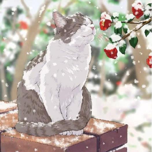 慵懒惬意的猫咪插画幸福得让人想哭不是多年的铲屎官体会不了