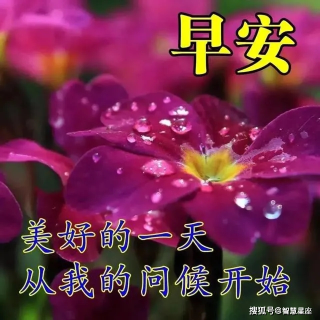 21年早上好最新图片,中老年早上好最新图片 2021年7月21日星期三早上好问候祝福动态表情图片