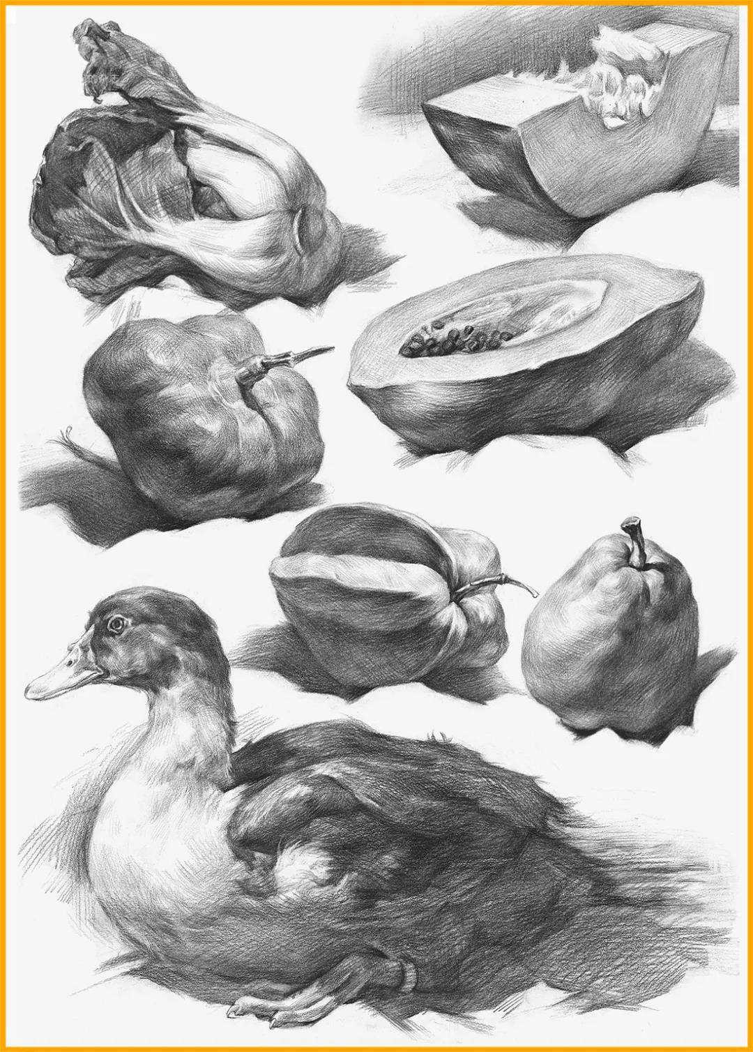素描静物中各种不同的单体该怎么画?-广州暑假美术培训