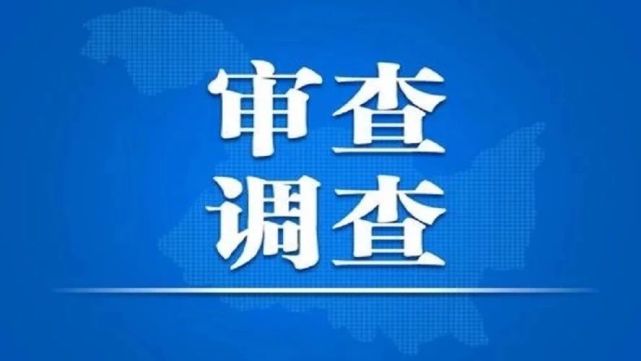 保靖县人民法院党组成员,副院长向云俊接受纪律审查和监察调查