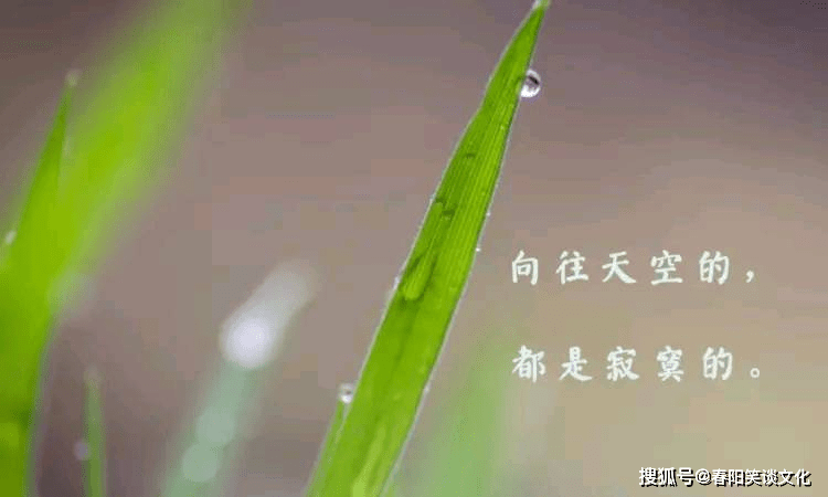 一个人心情不好想哭的句子,伤感催泪,细数你心中为爱所受的伤