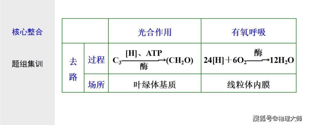 初中生物:光合作用与细胞呼吸知识点详解!