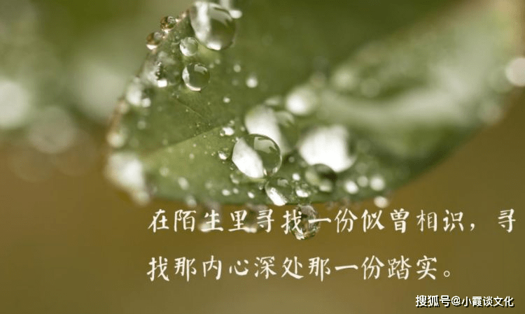 原创唯美有深意的人生语录,精辟睿智,人人收藏