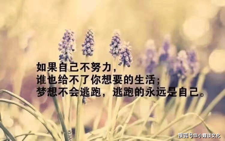 朋友圈最睿智的20个句子,字字千金,富含哲理