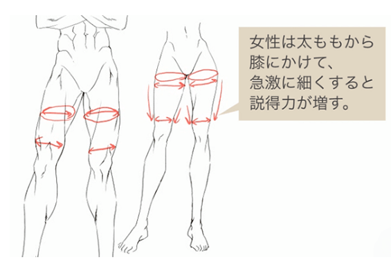 腿部肌肉怎么画教你男生下半身腿部肌肉画法教学