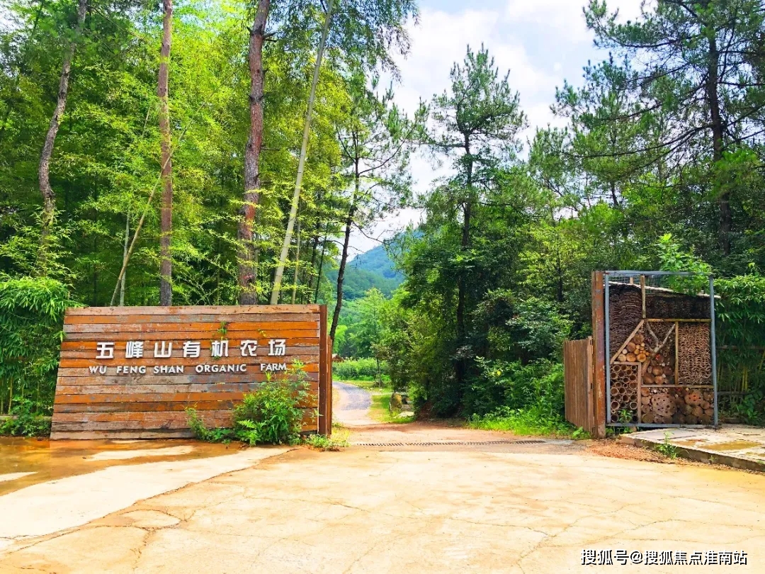 【官网】 安吉五峰山售楼处售楼处电话,安吉五峰山售楼处售楼处位置