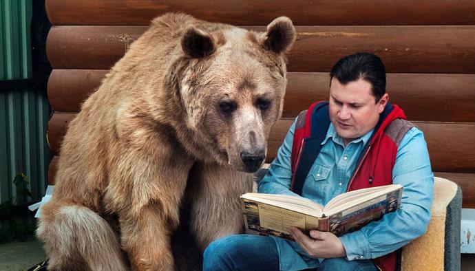 图看俄罗斯人与熊:他们的故事我说你听