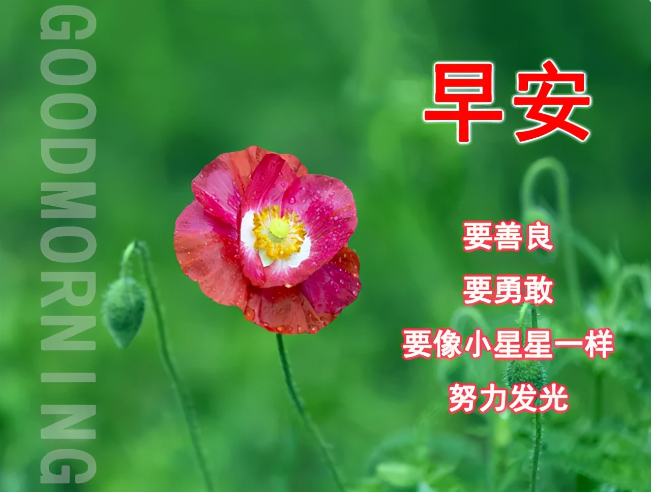 早安祝福动态最温暖的问候表情,早上好适合发朋友圈的