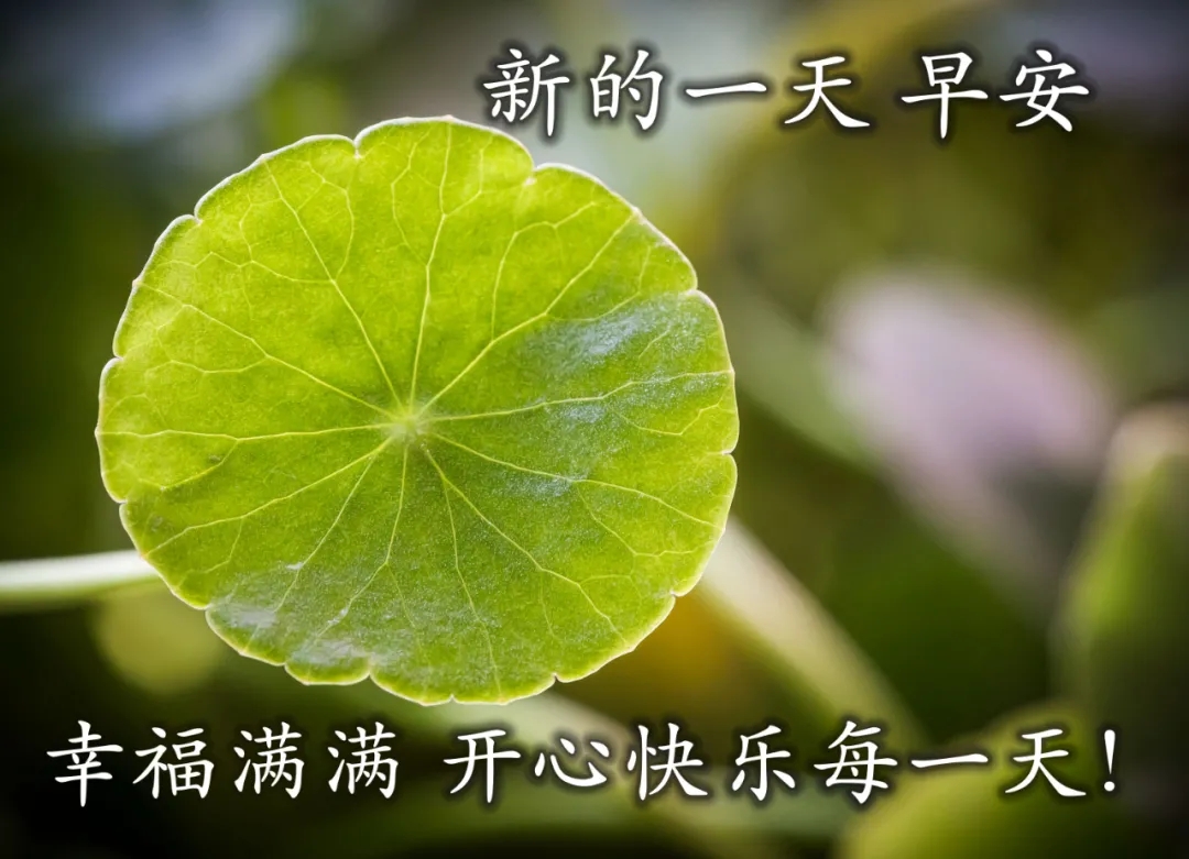 朋友圈早安说说图片,问候朋友最新一句话早安心语经典