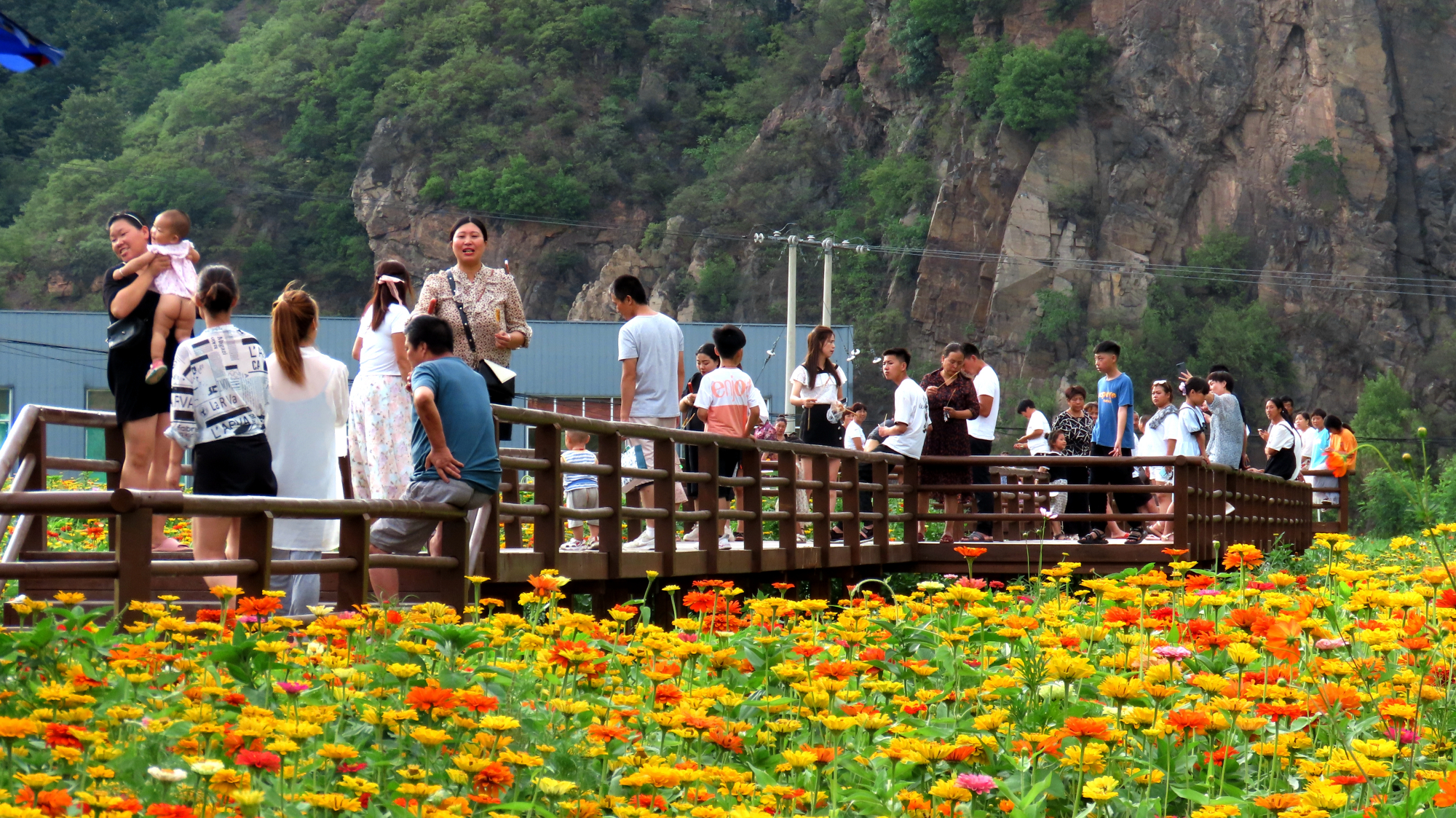 嵩县老道沟这个山村仿若世外桃源