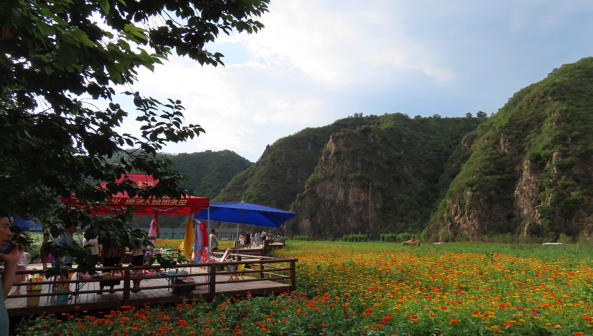 嵩县老道沟这个山村仿若世外桃源