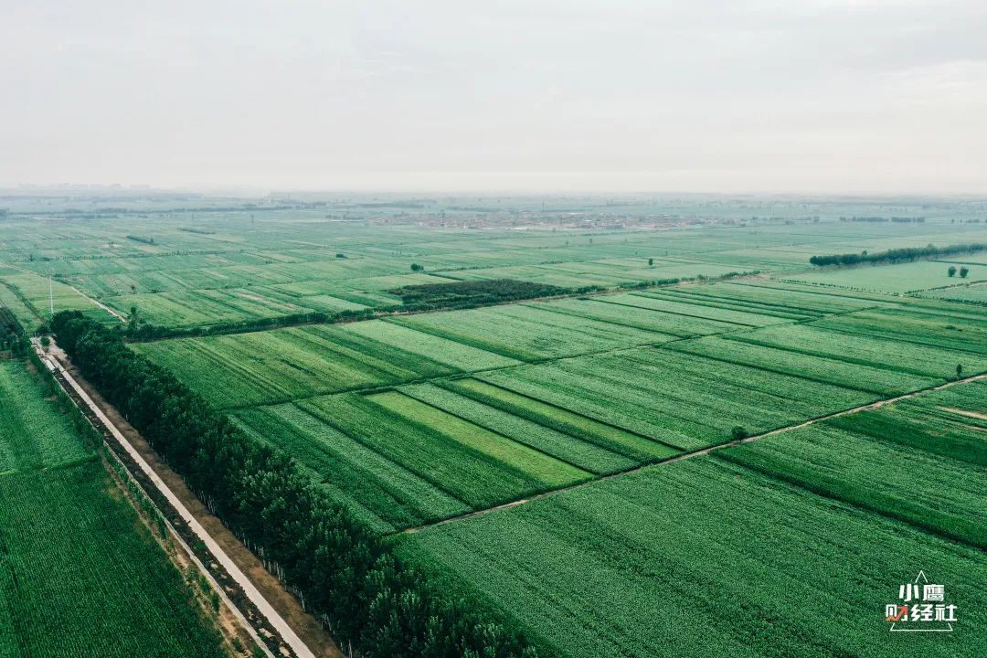 山川,平原,湖泊,多元的地貌赐予了清徐优质水源和丰饶物产,大量的粮食