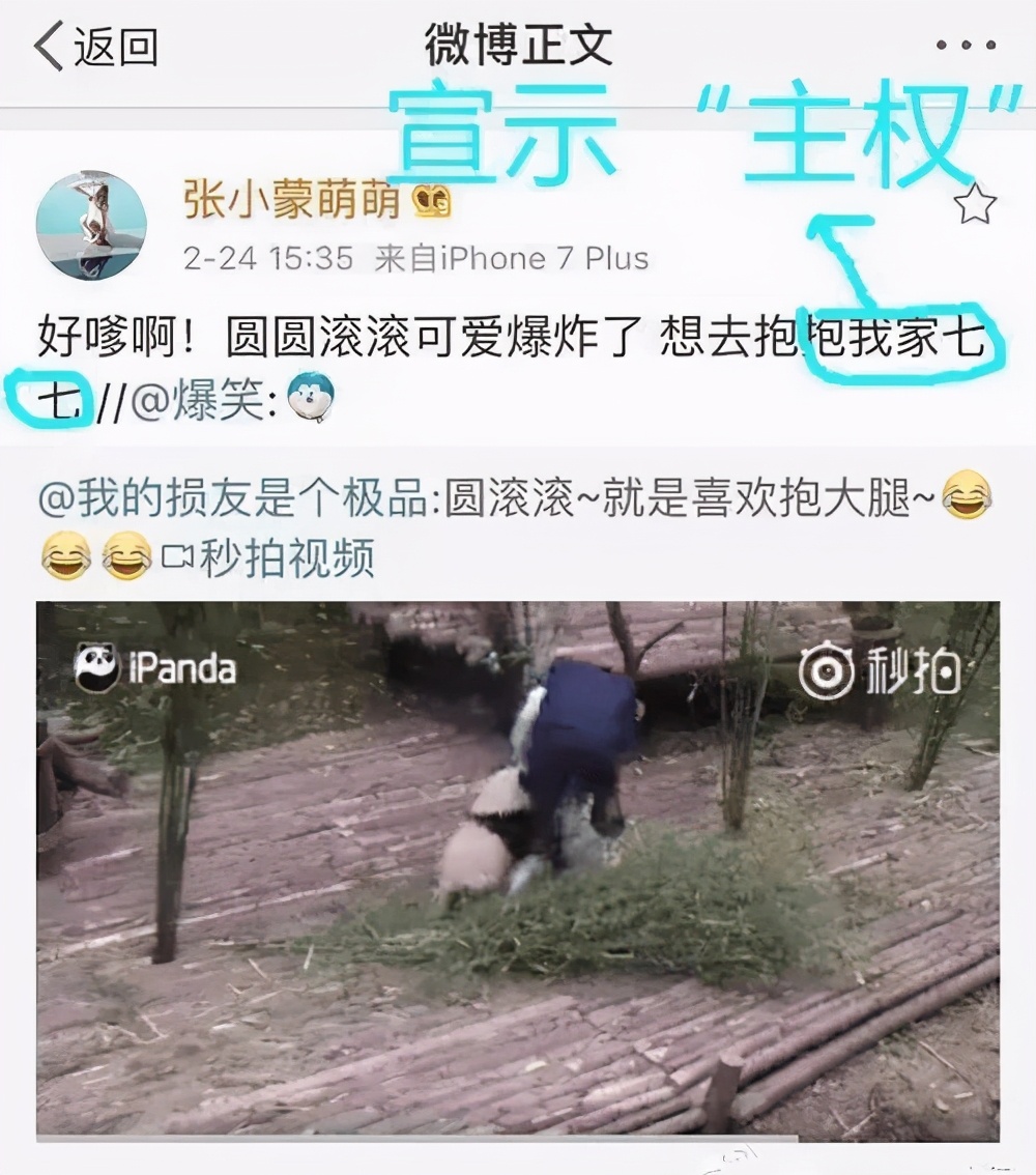 从国民老公到国民舔狗,被十八线网红吊打的王思聪还能