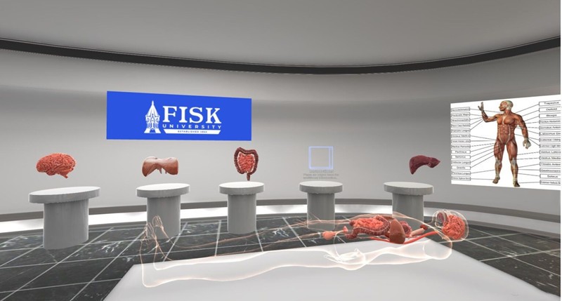 动物解剖虚拟仿真解决方案 虚拟仿真实验室将成为教育的未来