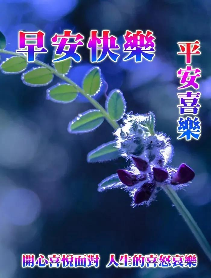 8张最美秋日风景早上好图片带字带祝福语 好看的朋友圈早安问候祝福语