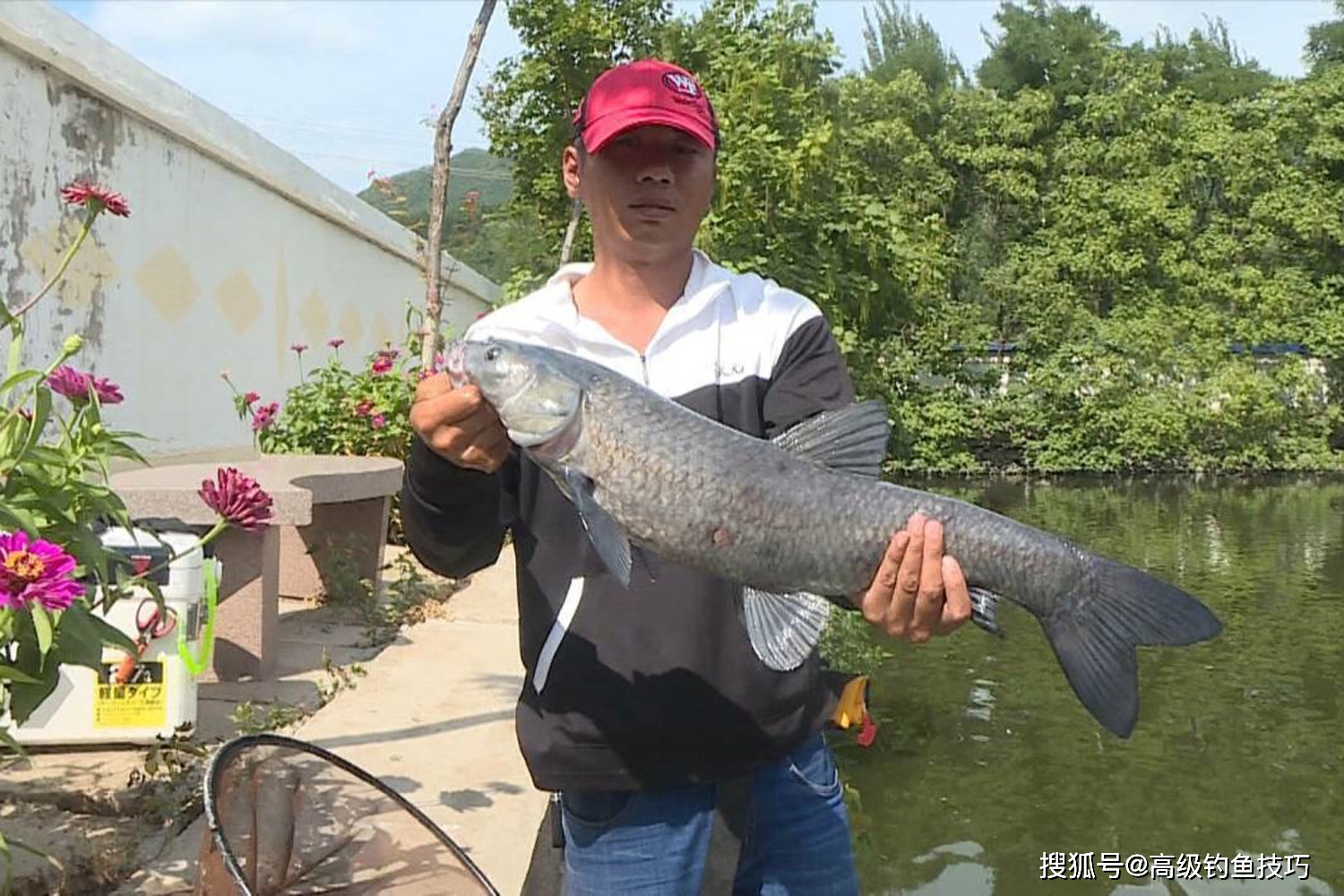 钓青鱼的快速入门技巧