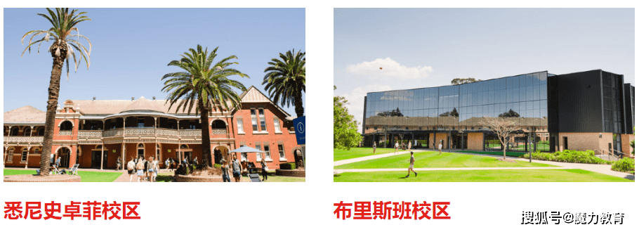 acu在澳大利亚境内拥有7大校区,分别是布里斯班校区,北悉尼校区,悉尼