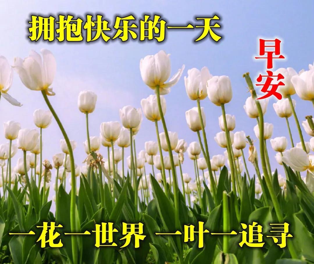 早安图片2021新图,早安2021最新微信图片 8张清晨非常漂亮的早安表情图片 2021秋日群发早上好问候动态表情图片