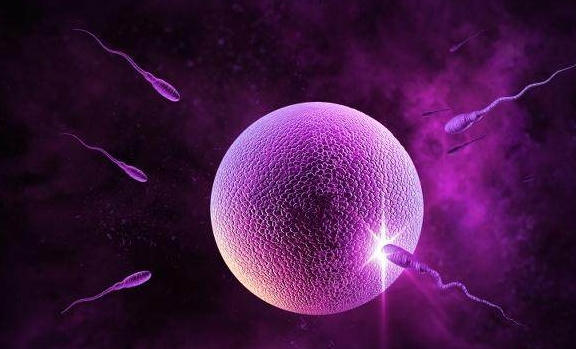 进入女人体内没有＂受精＂的精子去哪里了？看完你就明白了！