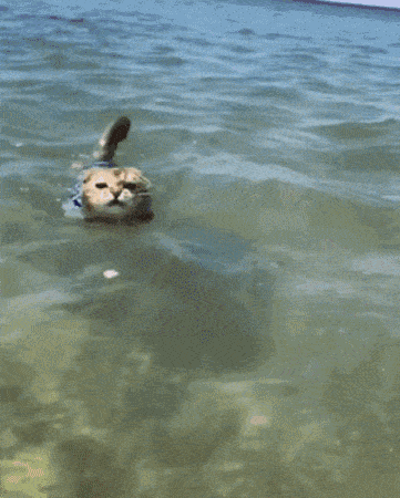 361_450 竖版 竖屏