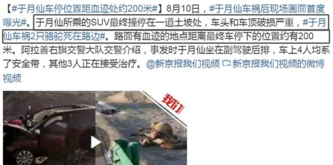 媒体还原于月仙车祸现场:拍到骆驼尸体,车停位置距血迹有200米