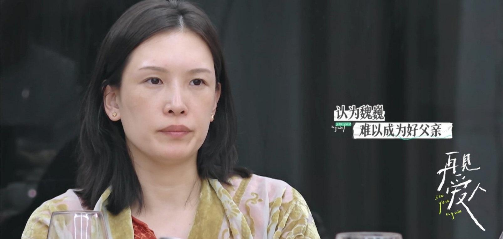 再见爱人面对长不大的妈宝男魏巍不生孩子的佟晨洁是对的