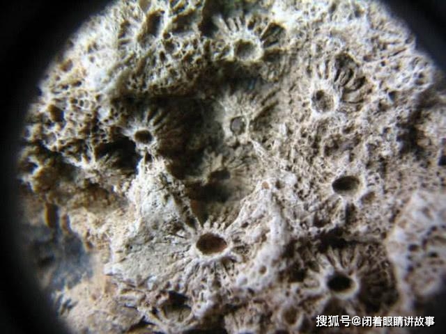 原创地球自转周期变慢,将迎来持续大地震?科学家:还不是最坏的结果