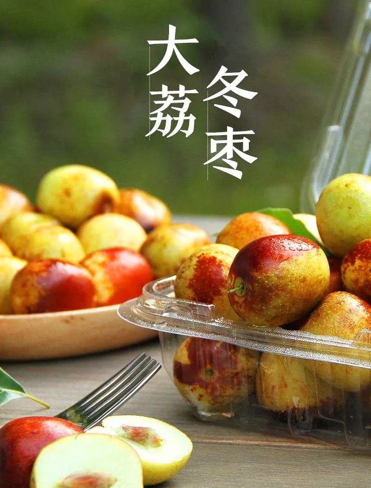 大荔冬枣丨一颗入口就醉了整个秋天
