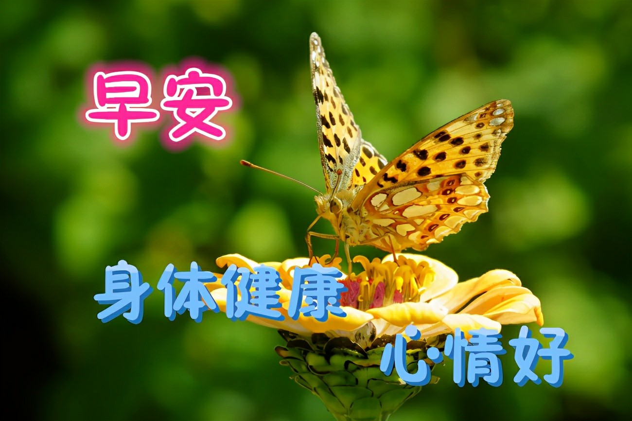 早上好温馨祝福语,温馨朋友圈真诚祝福图片