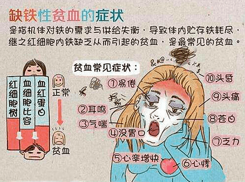 铁缺乏症和缺铁性贫血是广泛影响世界各国