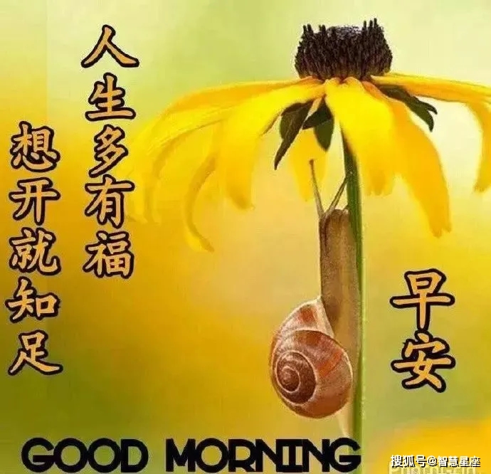 8月20日周五早上好问候语及关心的话 早晨好的图片暖心句子