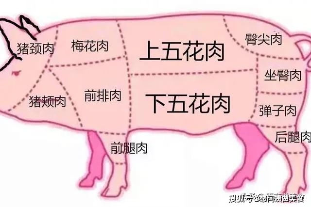 大致了解了猪肉分档,我们来详细说说"上五花肉"和"下五花肉"的区别