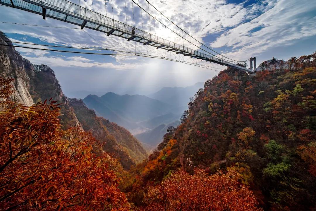 入秋的第一场旅行,相约洛阳白云山,邂逅云巅秋色!